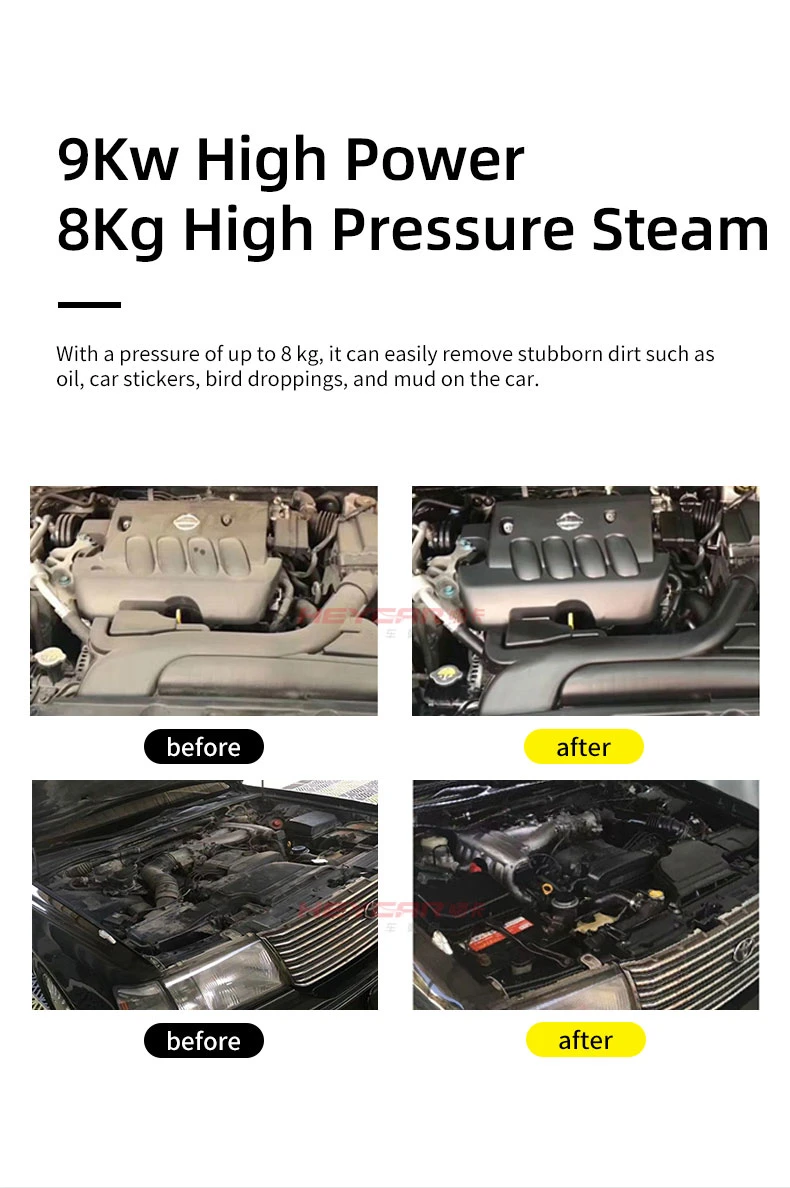 Multi Car Air Conditioner Cleaning Portable High Pressure Steam Car Washer for Car Parts