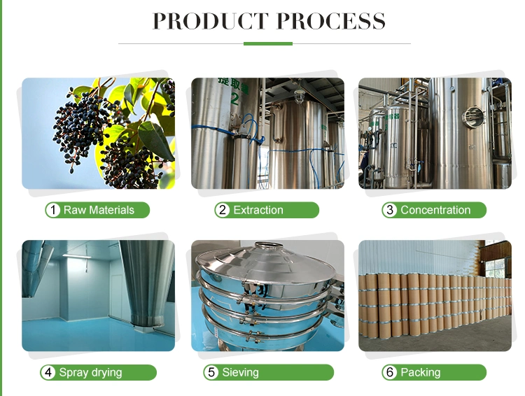 Factory Supply High Quality Eucalyptus Oil CAS 8000-48-4 with Good Price