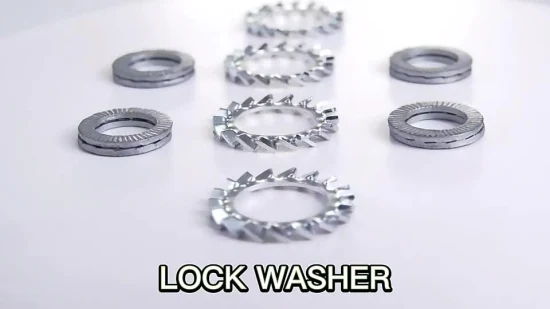 DIN25201/DIN9250 Stainless Steel SUS304/316/A2/A4 Dual Spring Lock Washer Locking Washer Steel Washer Plain Washer Auto Parts Twin Washer Spring Washer